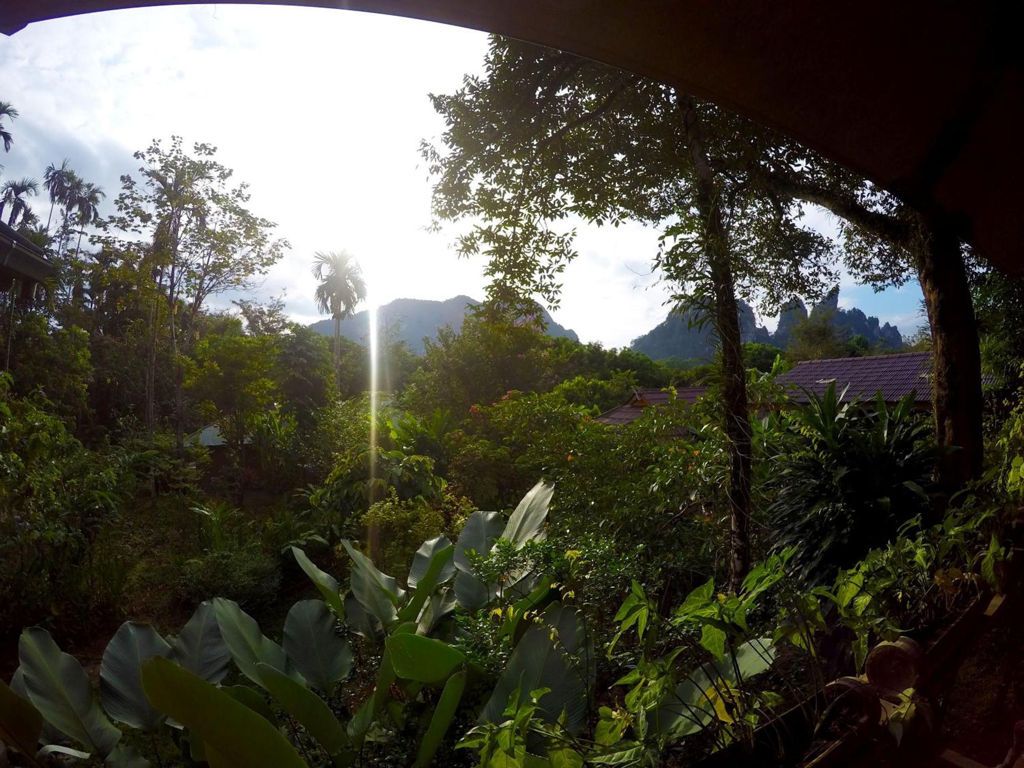 Khao Sok Morning Mist Resort Khao Sok National Park Esterno foto
